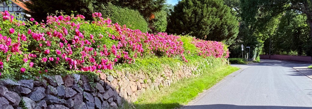 Am Mühlenbach2